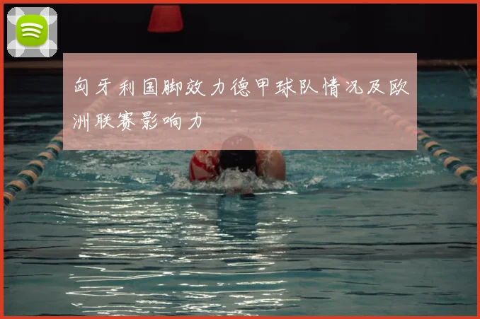 匈牙利国脚效力德甲球队情况及欧洲联赛影响力